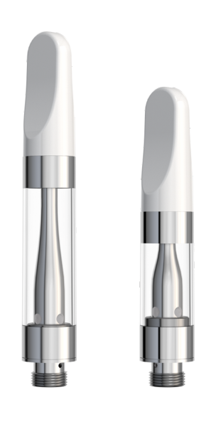 M6T-EVOMAX 2