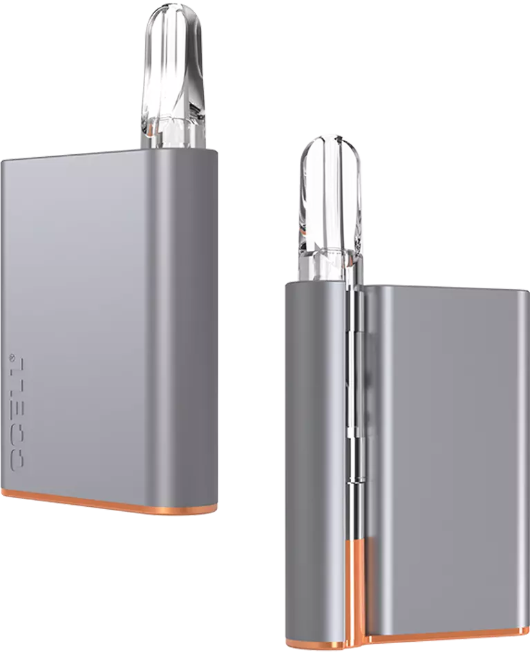 2 silver CCELL Palm vape batteries