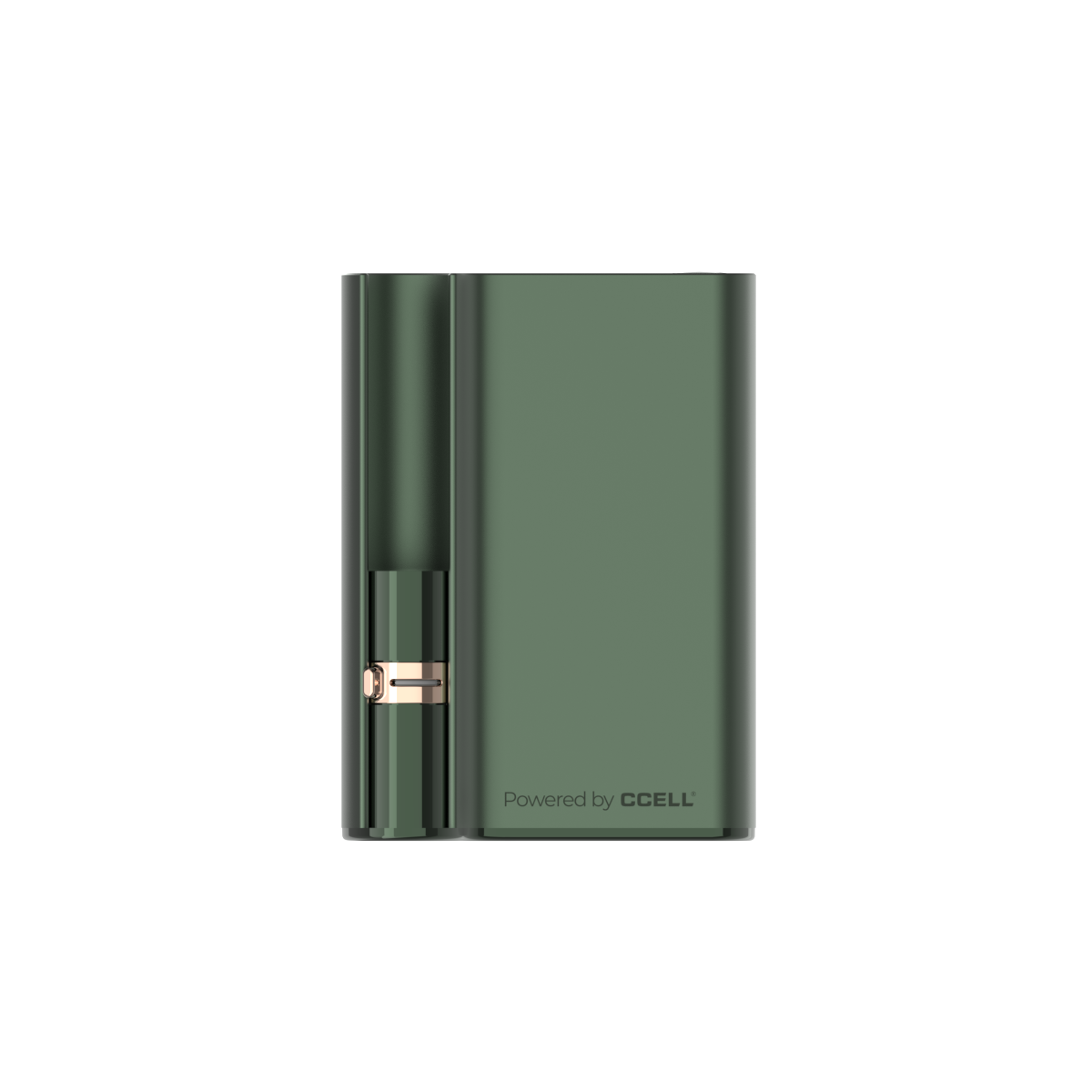 Palm-Pro-1